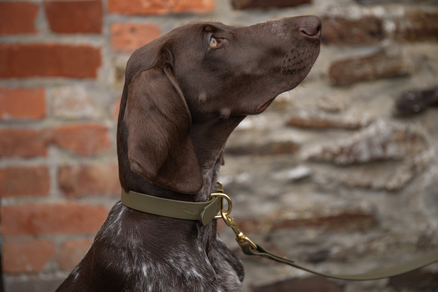 Khaki all weather collar