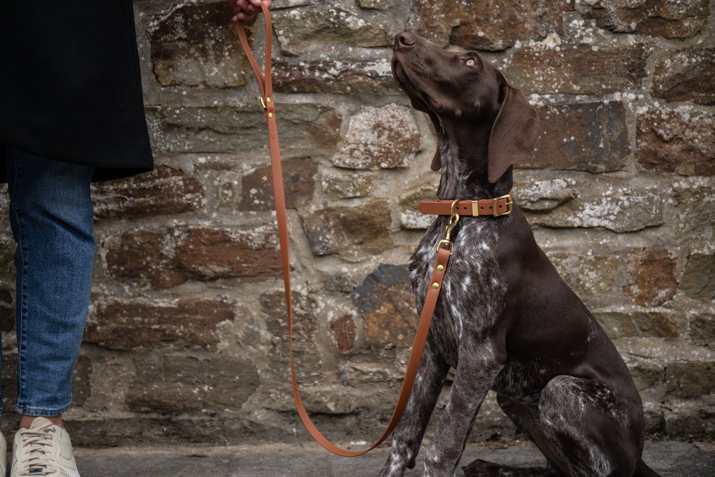 Tan Biothane® All Weather Lead