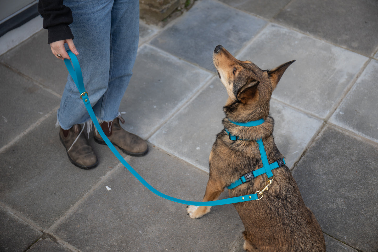 All weather Biothane® harness