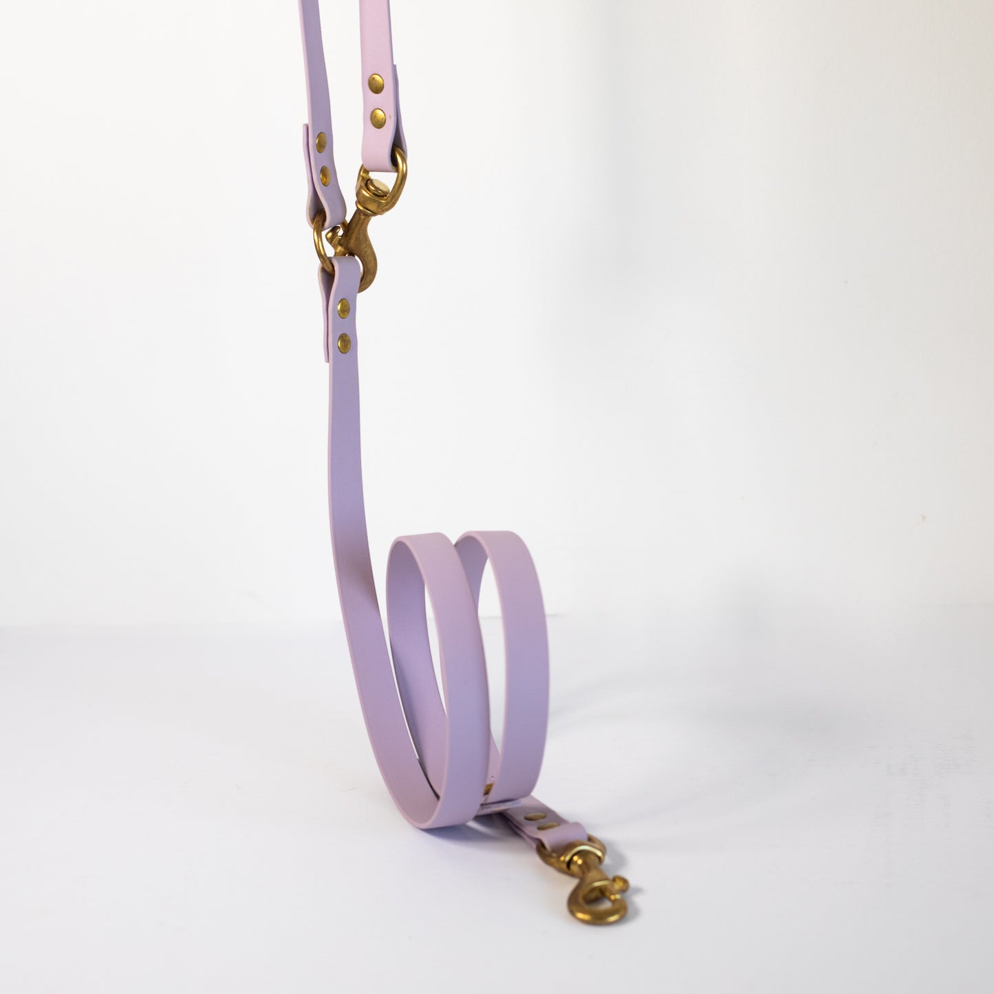 Adjustable all weather Biothane® leads