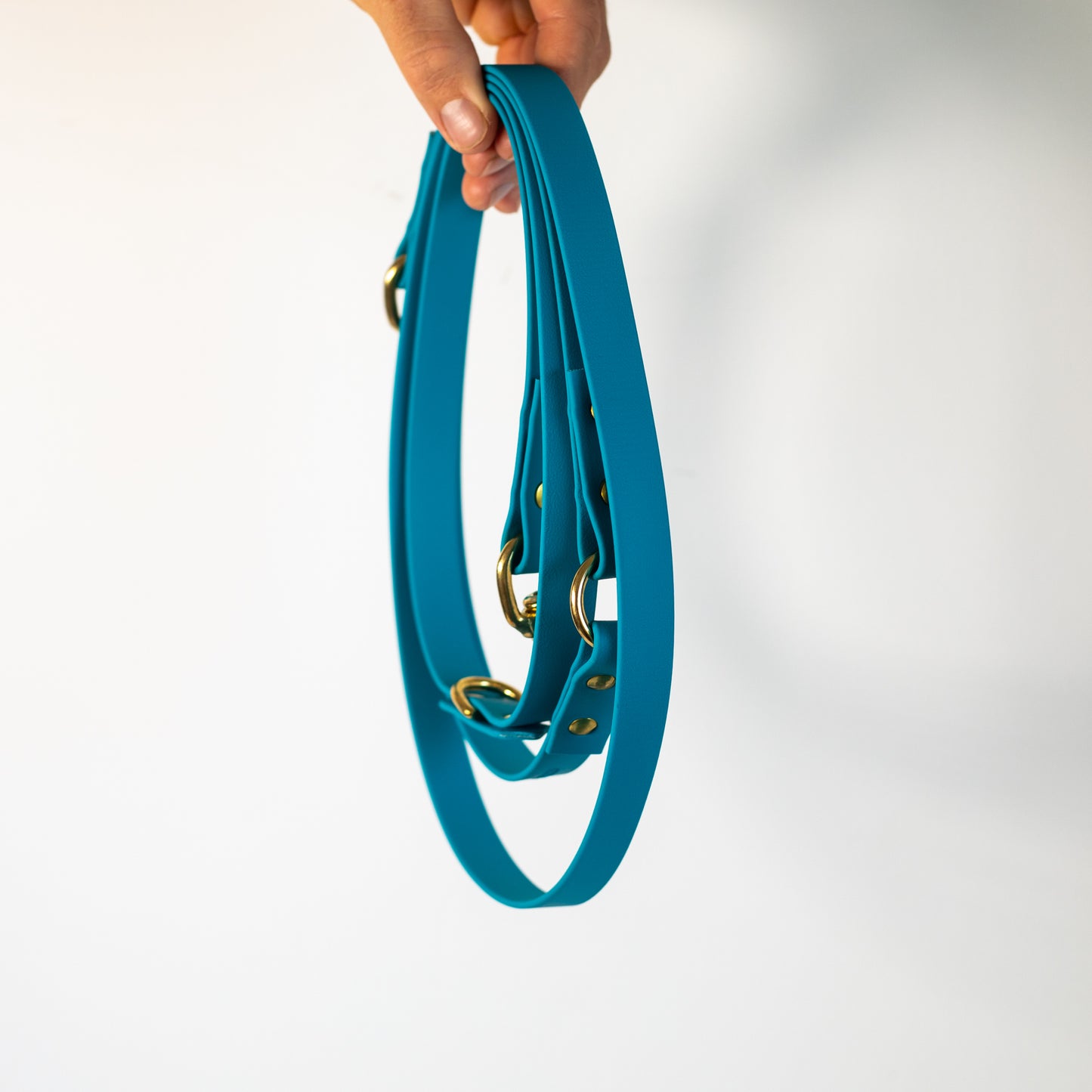 Adjustable all weather Biothane® leads