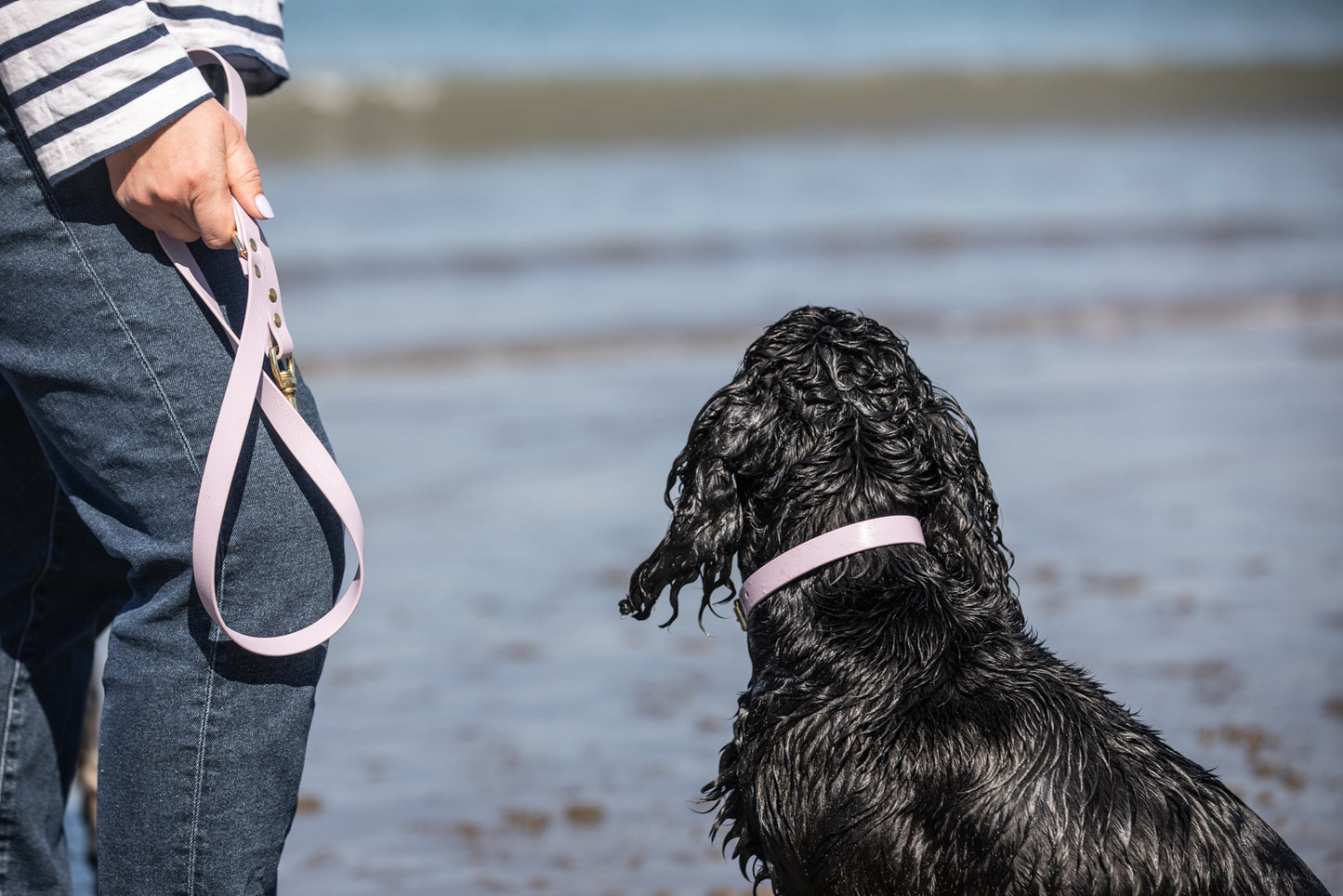 Lilac Biothane® All Weather Collar
