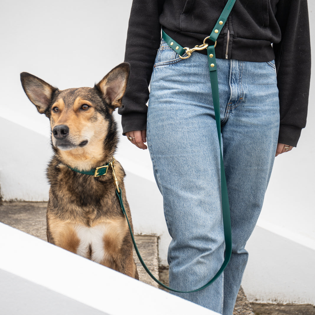 Adjustable all weather Biothane® leads