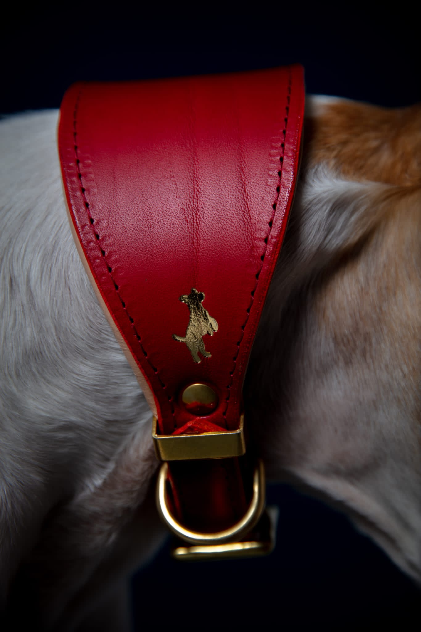 Cranberry padded Luxury leather sight hound collar