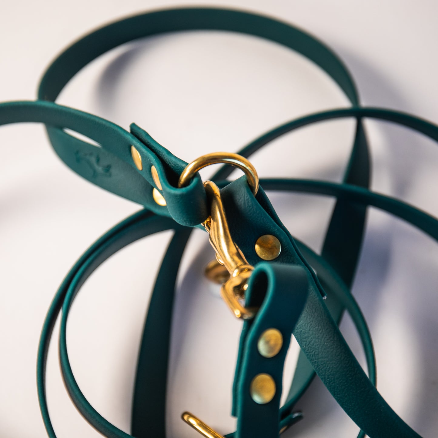 Adjustable all weather Biothane® leads