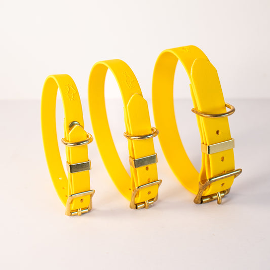 Yellow Biothane® All Weather Collar