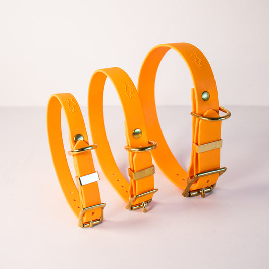 Orange Biothane® All Weather Collar
