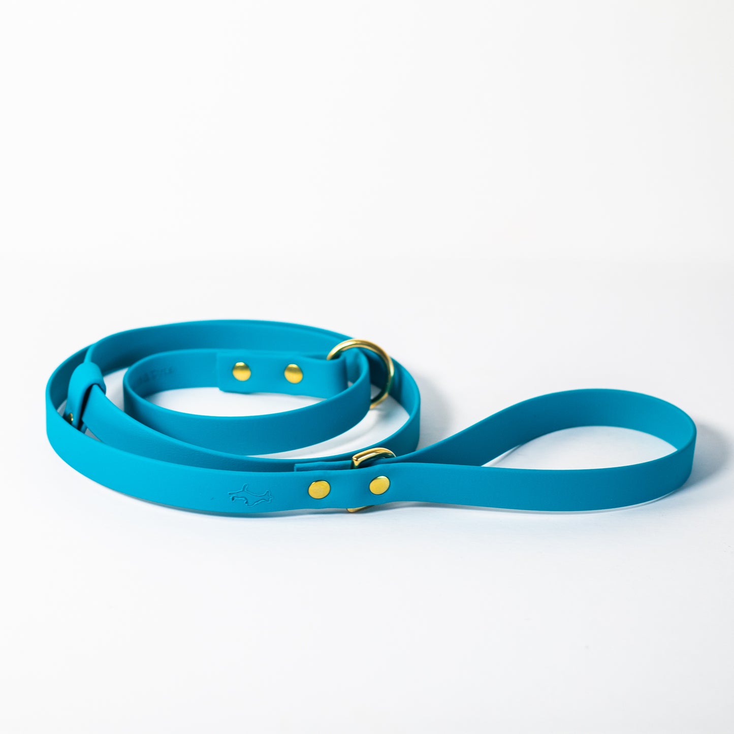 All weather Biothane® slip leads