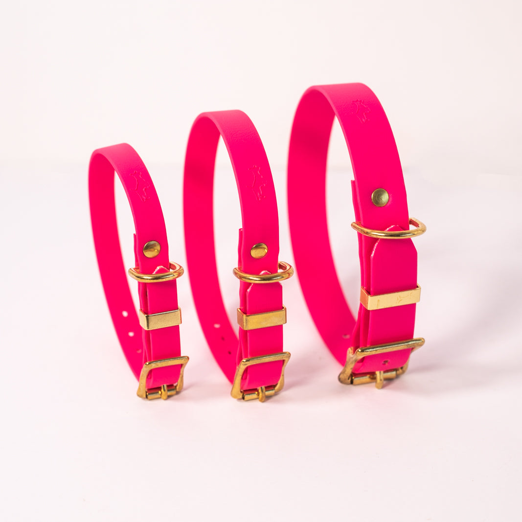 Fuchsia all weather collar