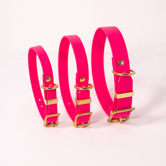 Fuchsia Biothane® All Weather Collar