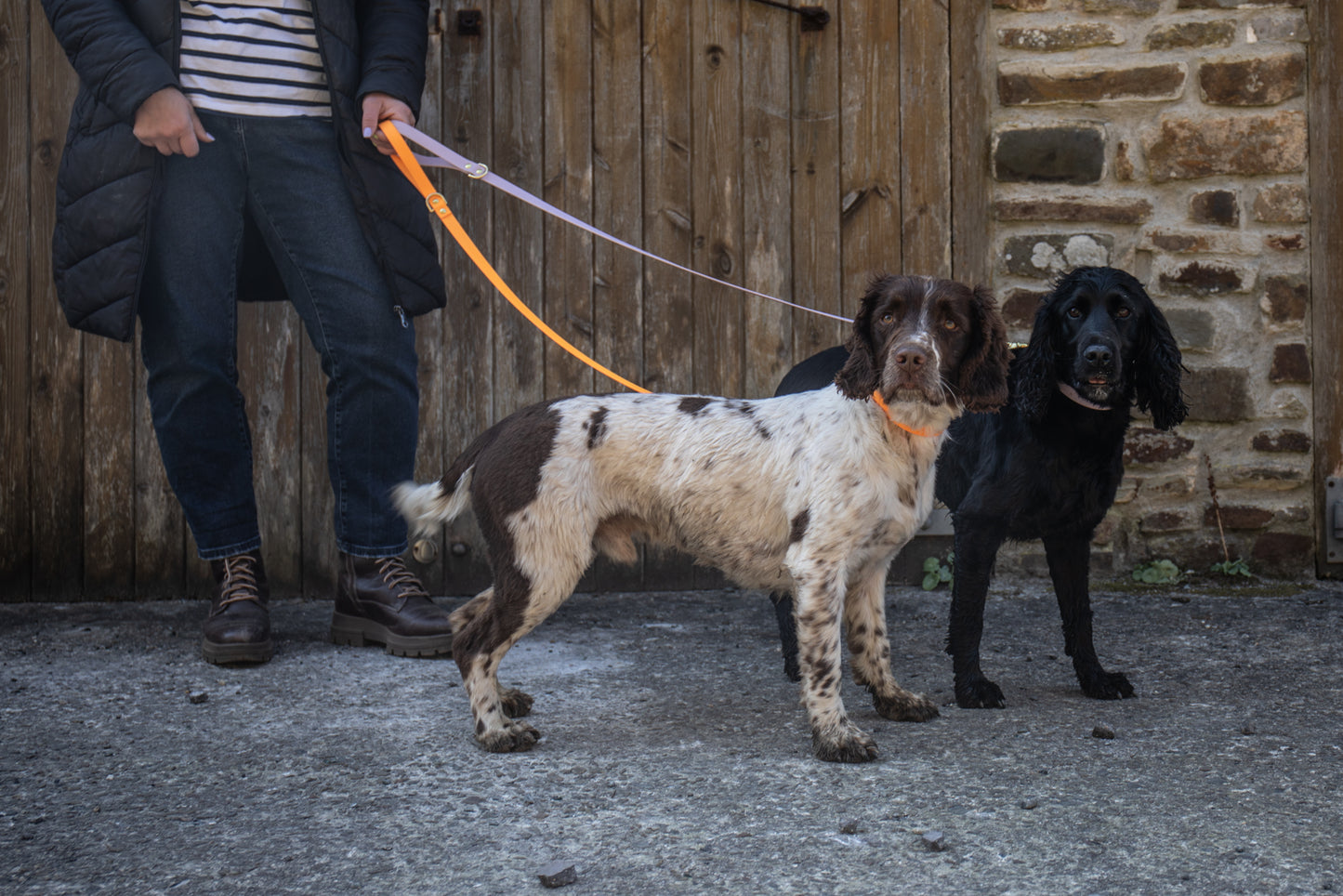 Orange Biothane® All Weather Collar