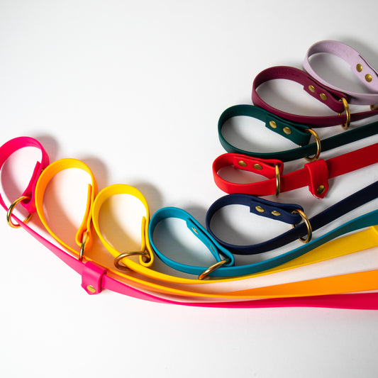 All weather Biothane® slip leads