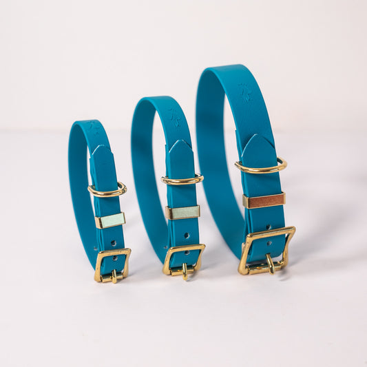 Lagoon Biothane® All Weather Collar