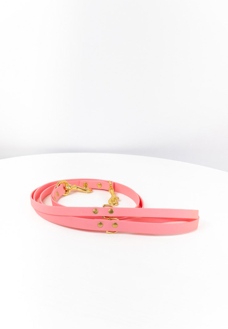 Baby Pink Biothane® All Weather Lead