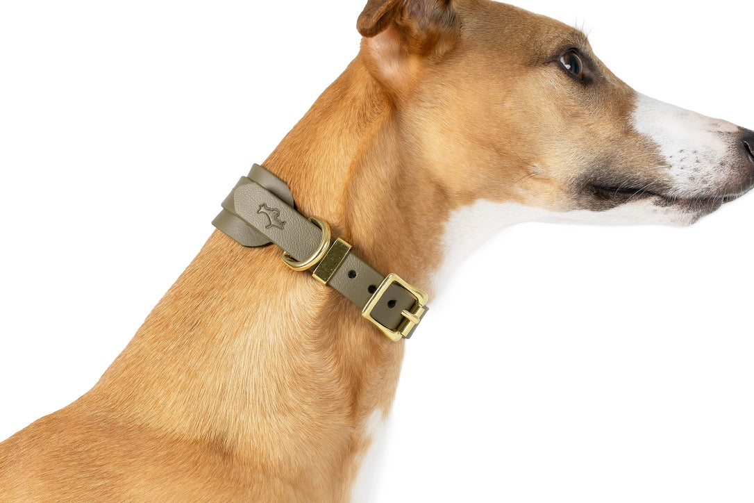 Khaki Biothane® Sight hound All Weather Collar