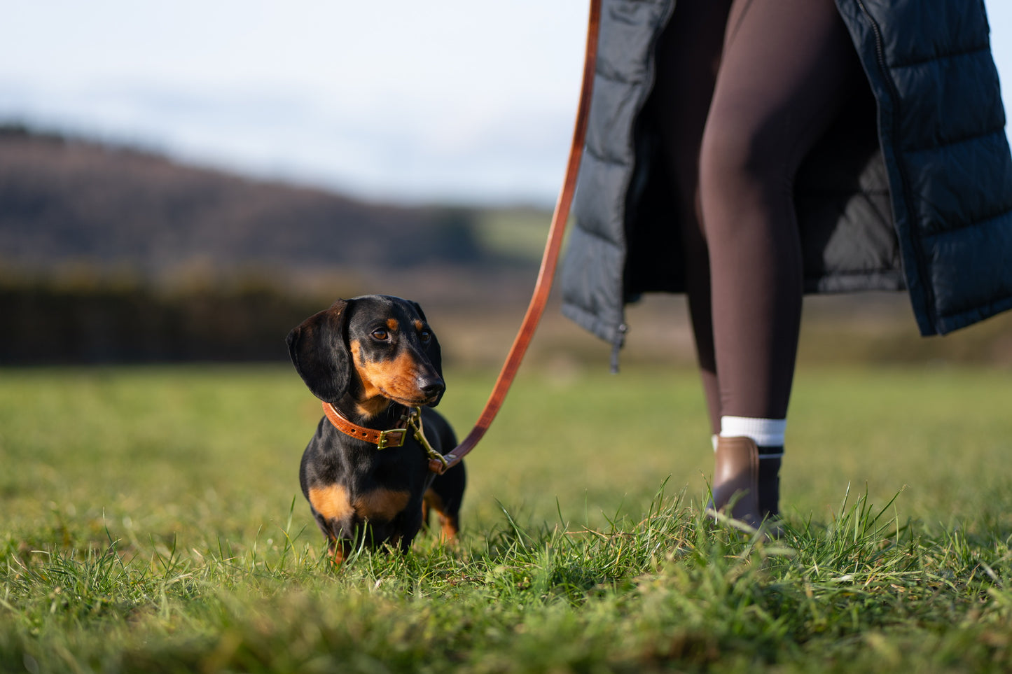 Padded luxury leather lead - Chestnut