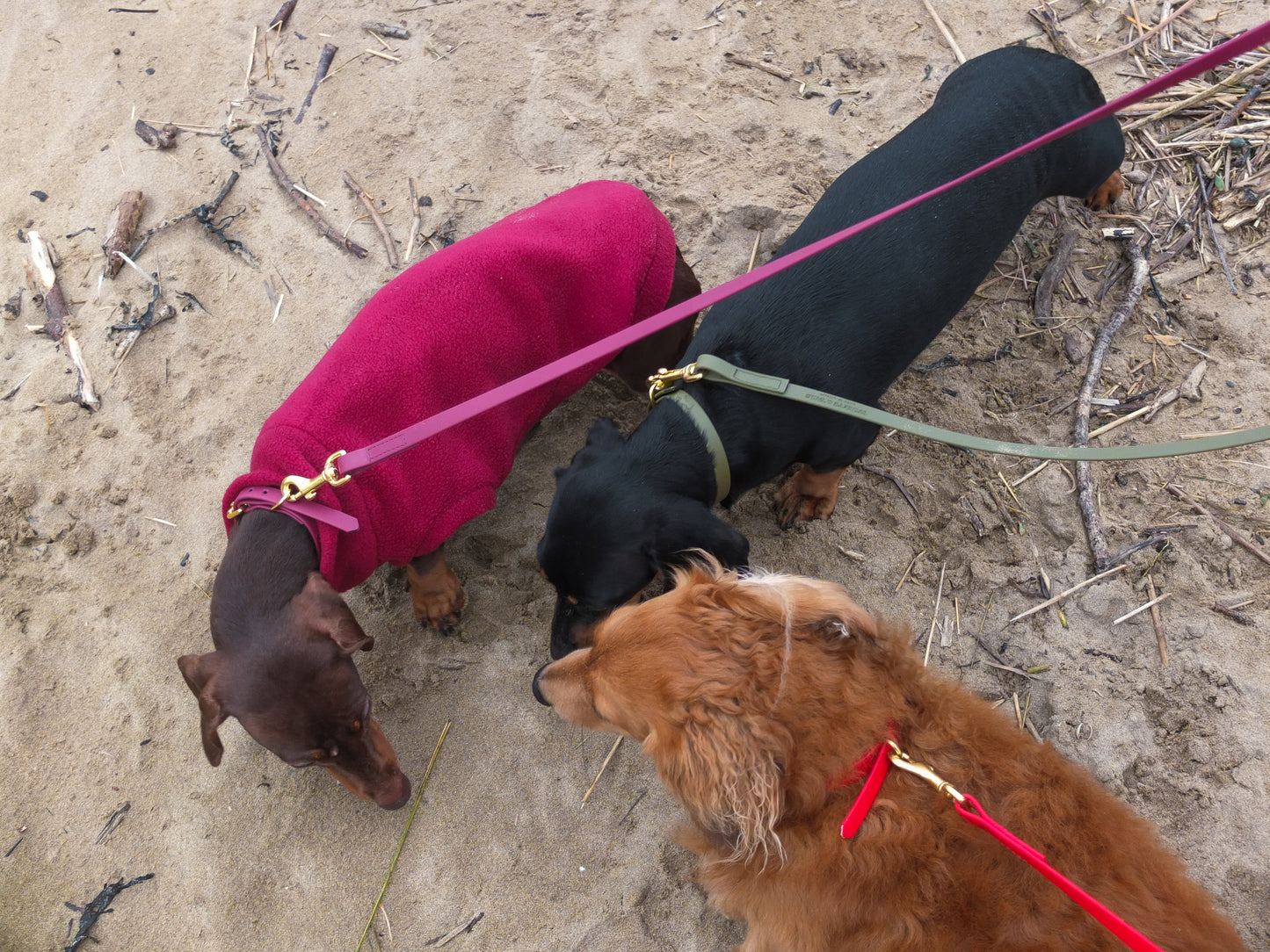 Khaki Biothane® Tiny Tails Collar