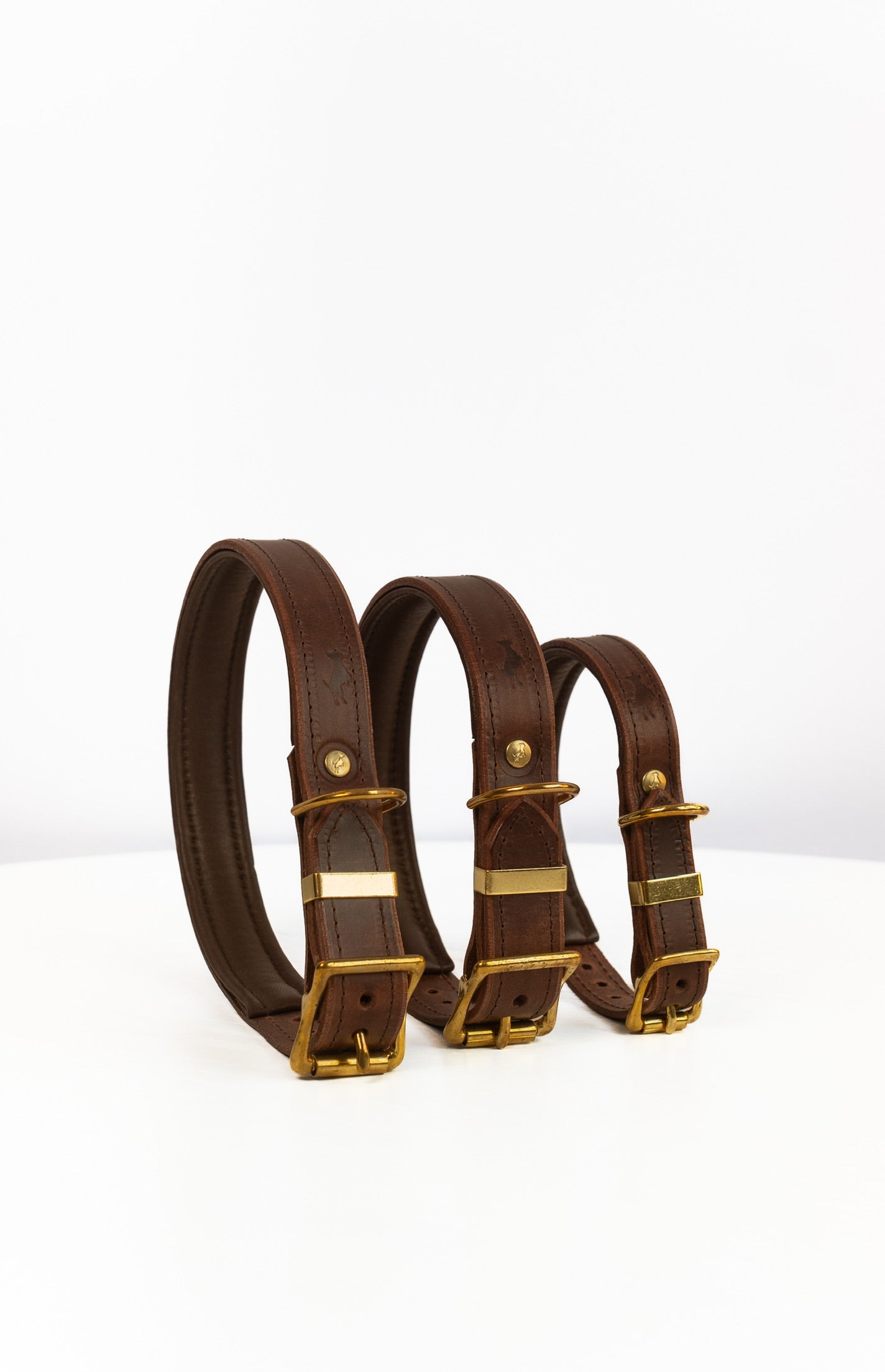 Padded Luxury leather collar- Chocolate
