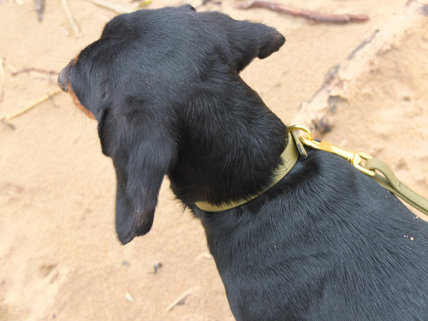 Khaki Biothane® Tiny Tails Collar
