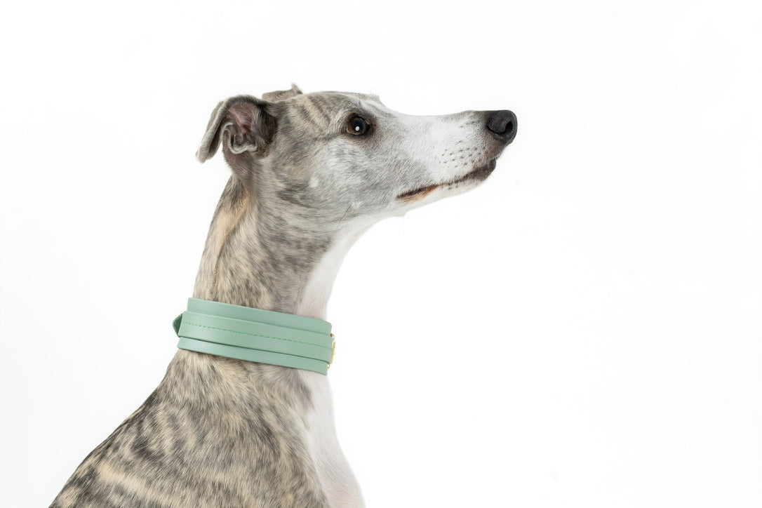 Sage Biothane® Sight hound All Weather Collar