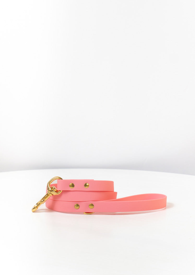 Baby Pink Biothane® All Weather Lead