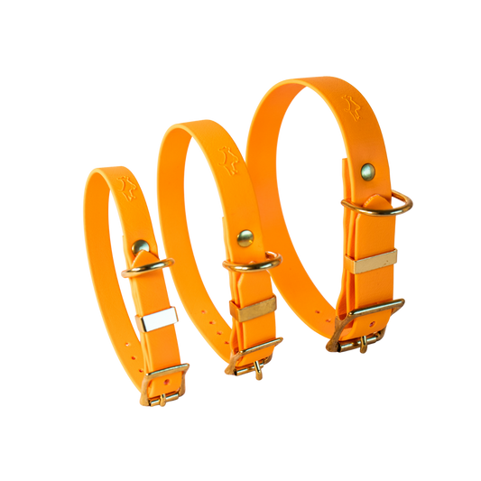 Orange Biothane® All Weather Collar