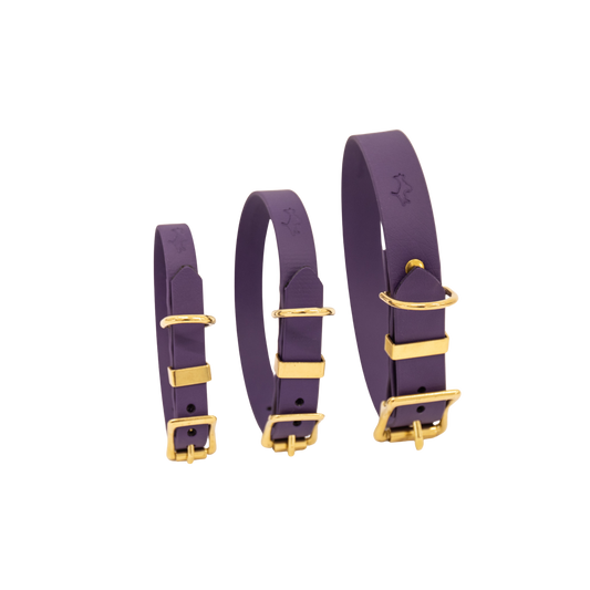 Violet Biothane® All Weather Collar