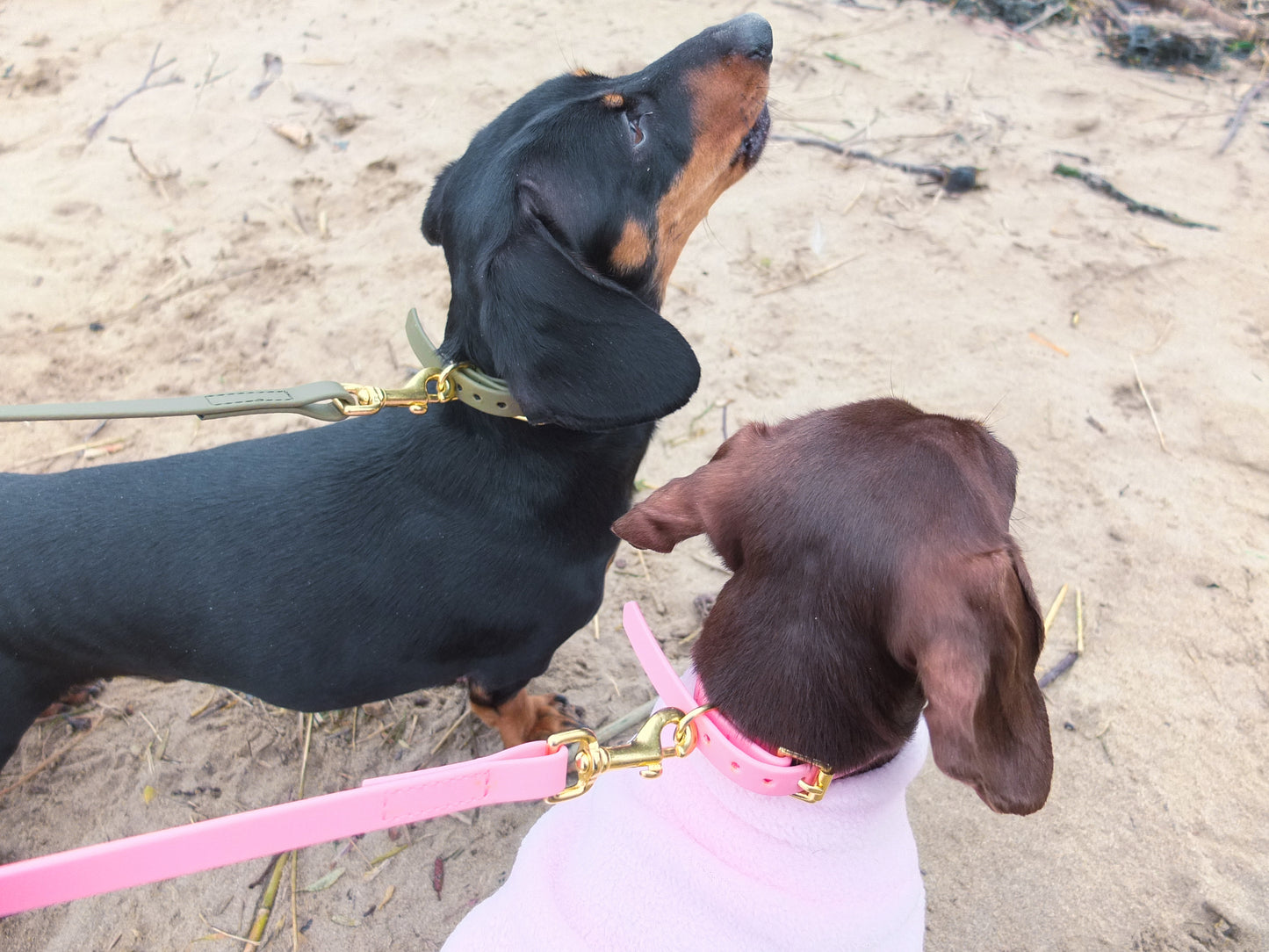 Khaki Biothane® Tiny Tails Collar