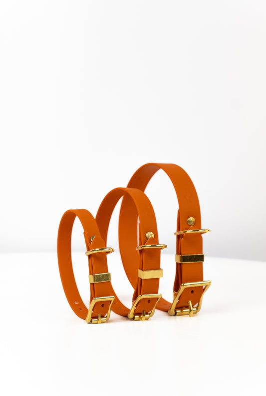 Burnt Orange Biothane® All Weather Collar