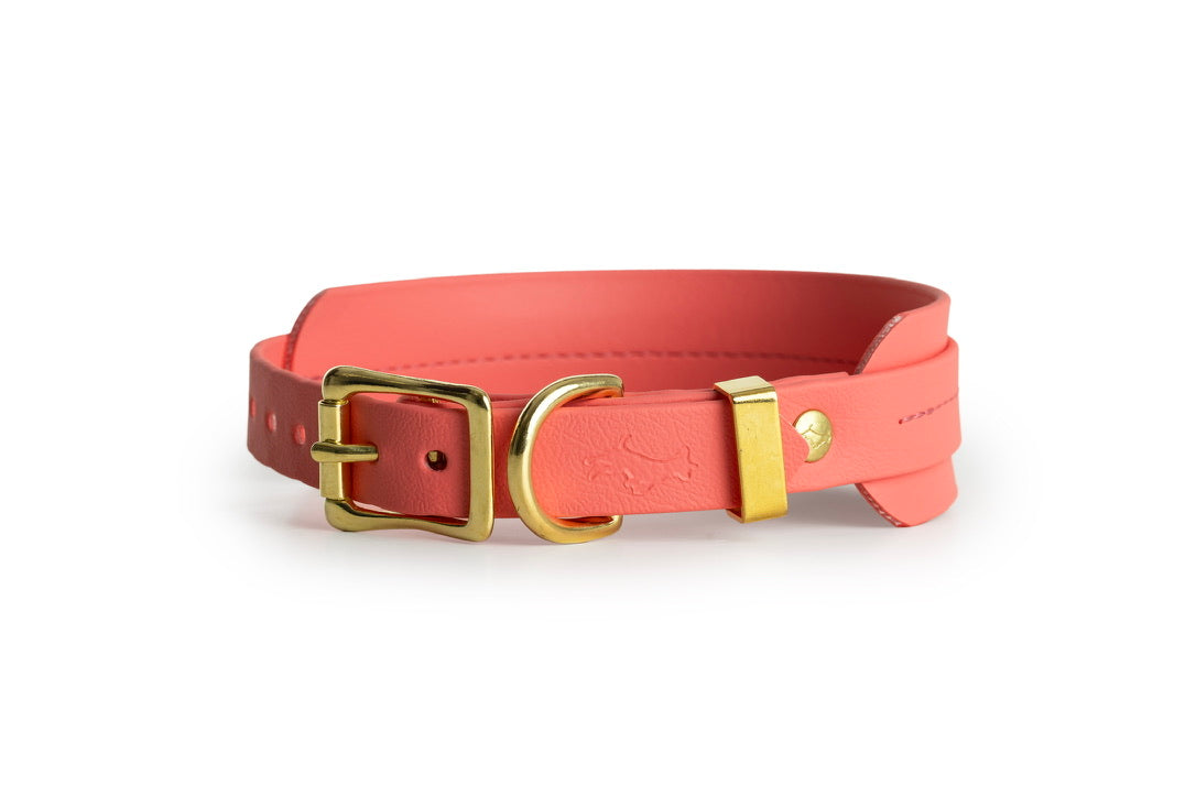 Coral Biothane® Sight hound All Weather Collar