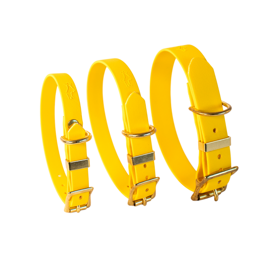 Yellow Biothane® All Weather Collar