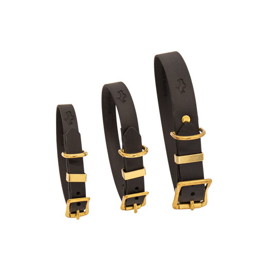 Black Biothane® All Weather Collar