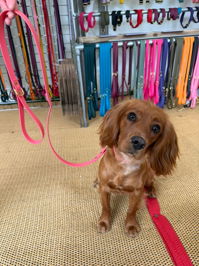 Coral Biothane® All Weather Collar