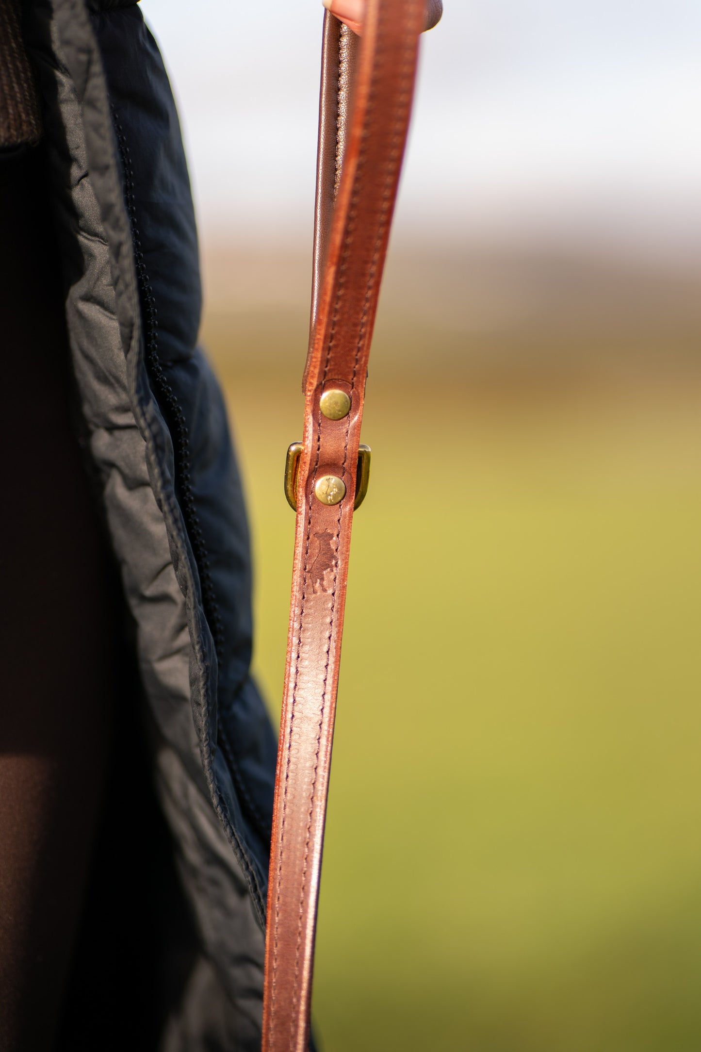 Padded luxury leather lead - Chestnut