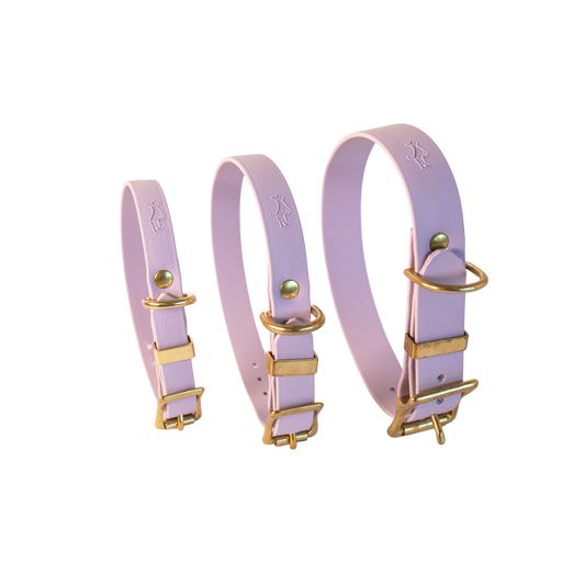Lilac Biothane® All Weather Collar