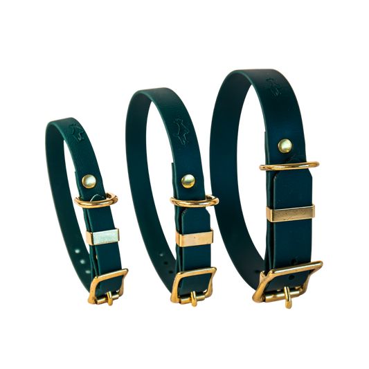 Green Biothane® All Weather Collar