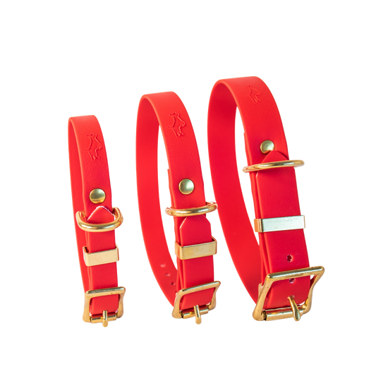 Red Biothane® All Weather Collar