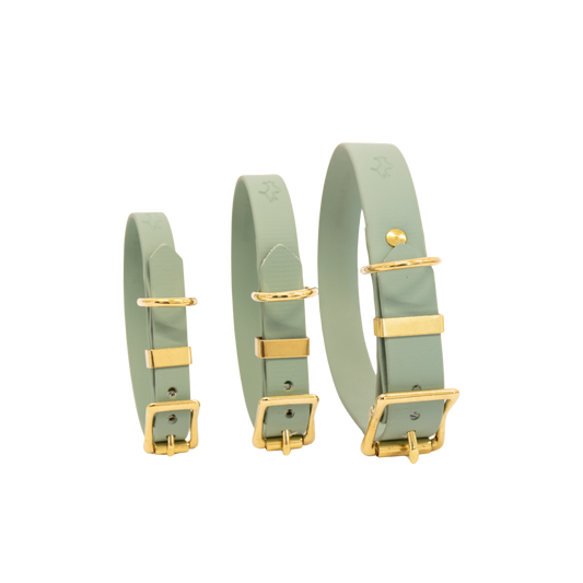 Sage Biothane® All Weather Collar