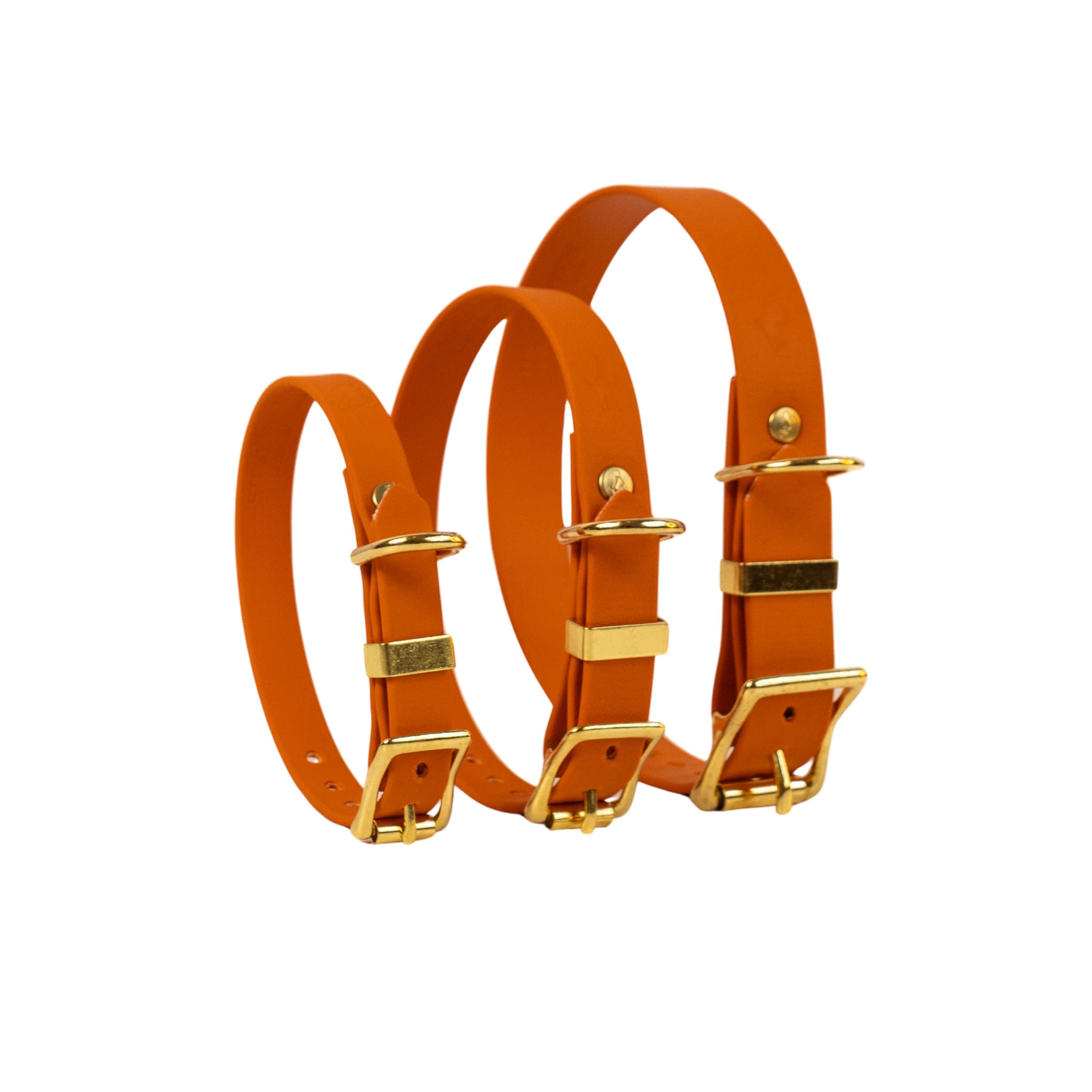 Burnt Orange Biothane® All Weather Collar