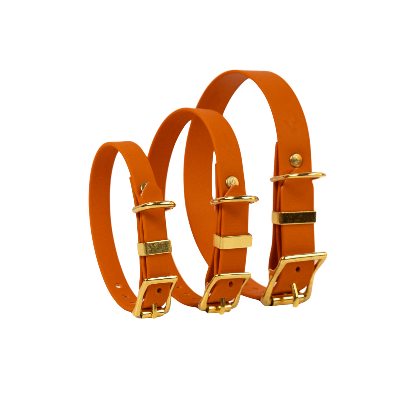 Burnt Orange Biothane® All Weather Collar