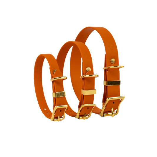 Burnt Orange Biothane® All Weather Collar