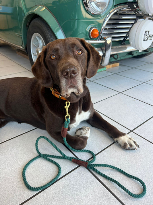 Samphire Rope Lead
