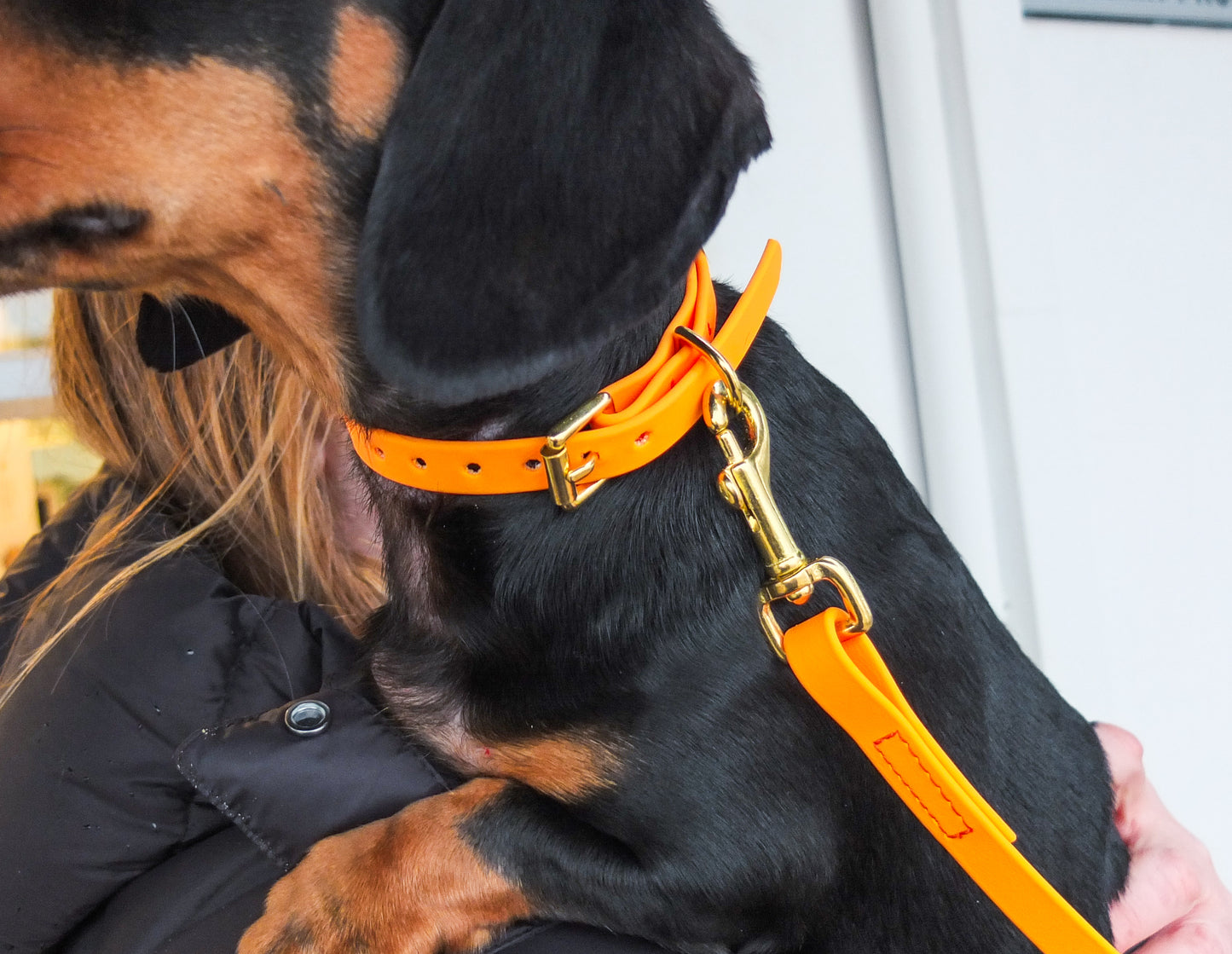Orange Biothane® Tiny Tails Collar