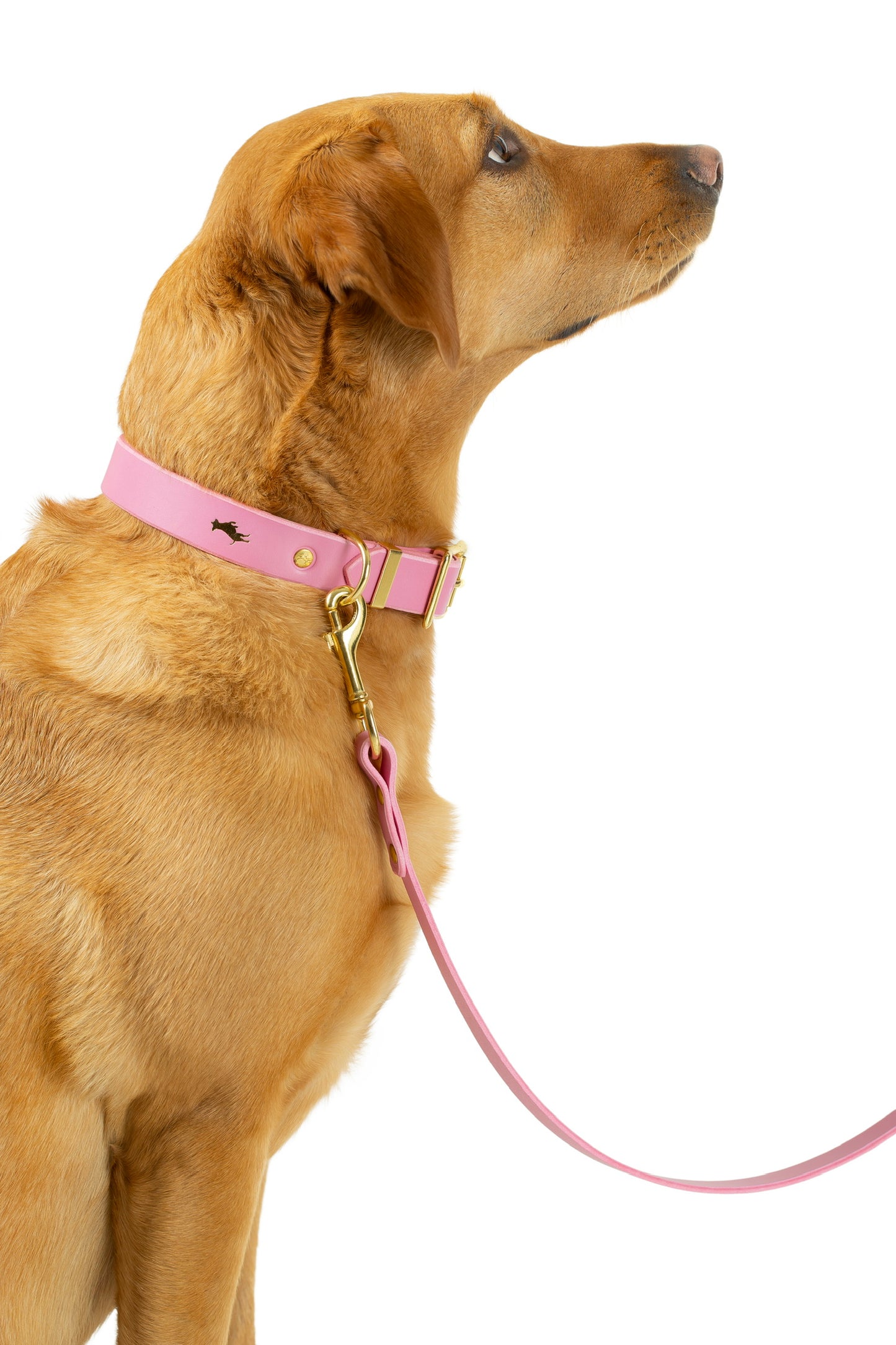 Luxury leather lead- Pink