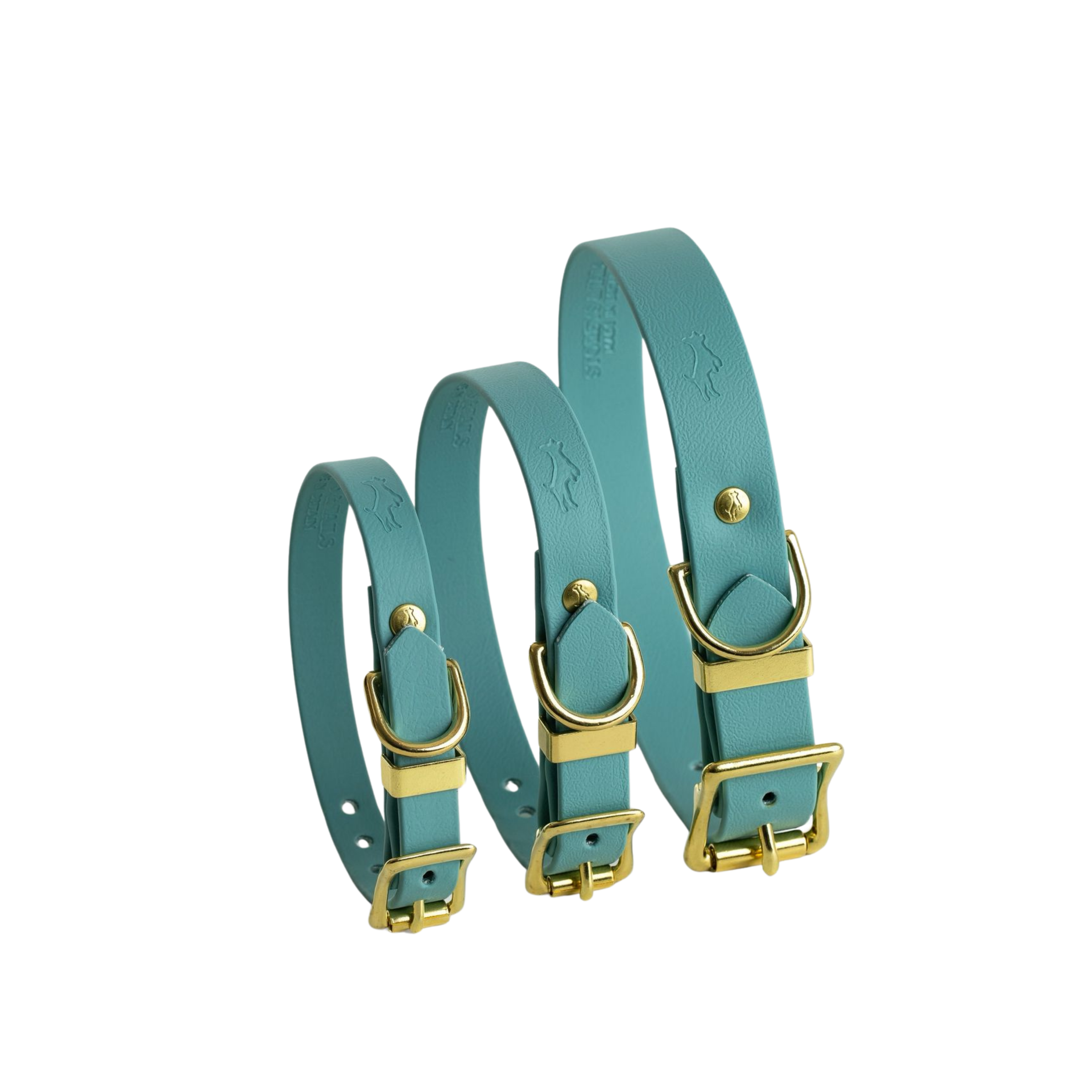 Turquoise Biothane® All Weather Collar