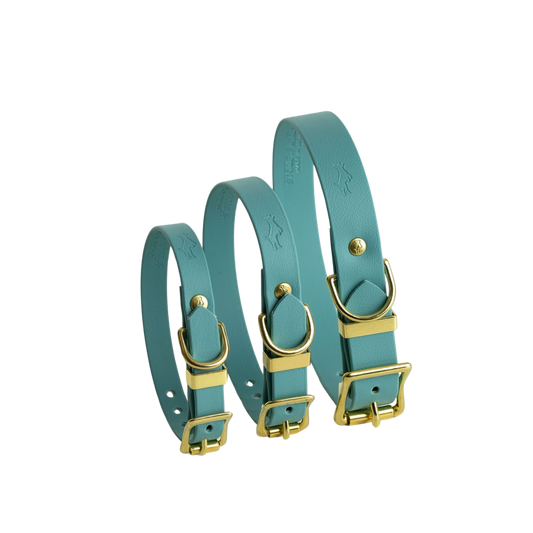 Turquoise Biothane® All Weather Collar
