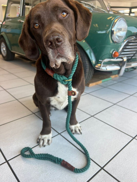 Samphire Rope Slip Lead