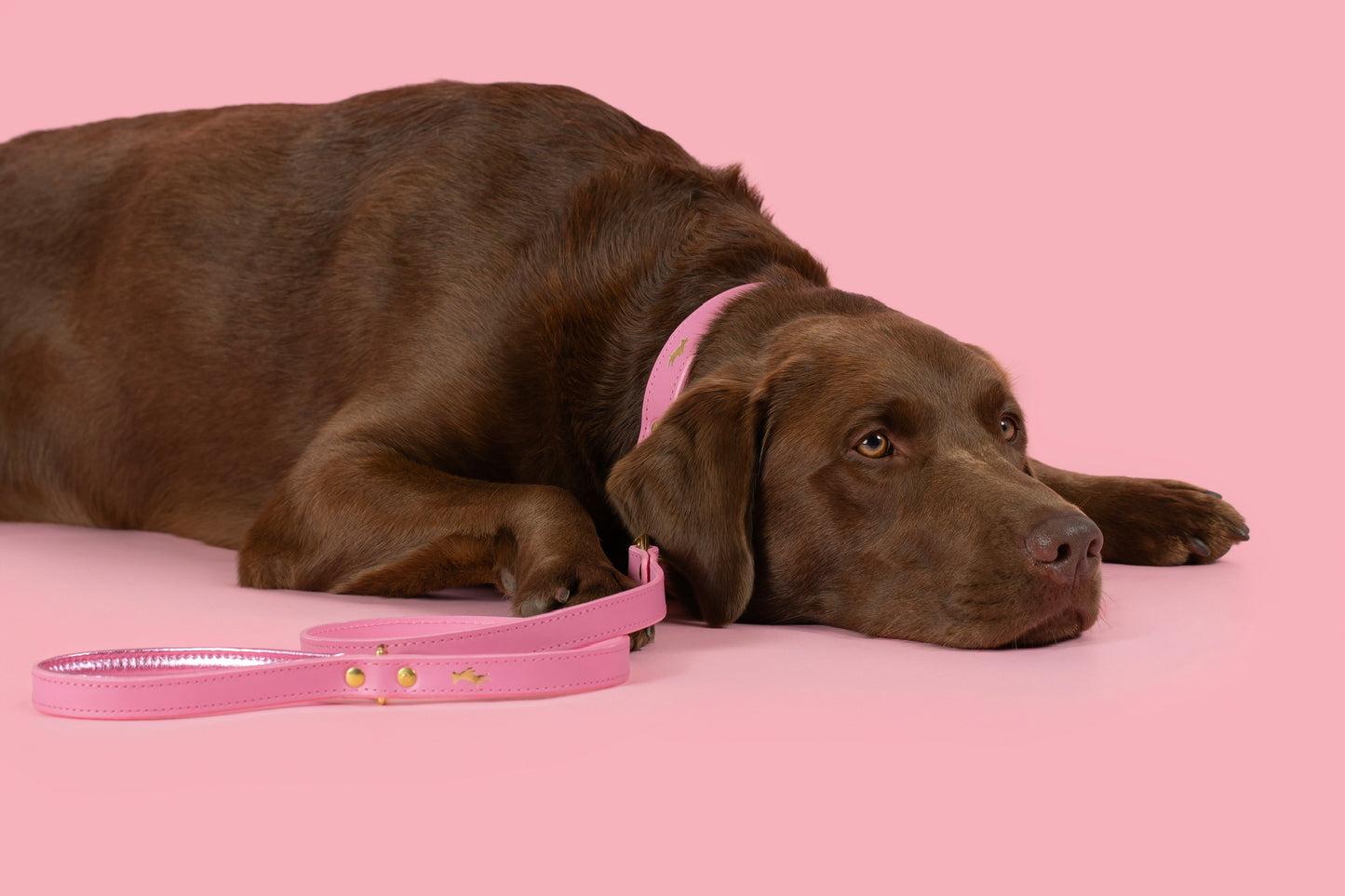 Padded luxury leather lead - Pink