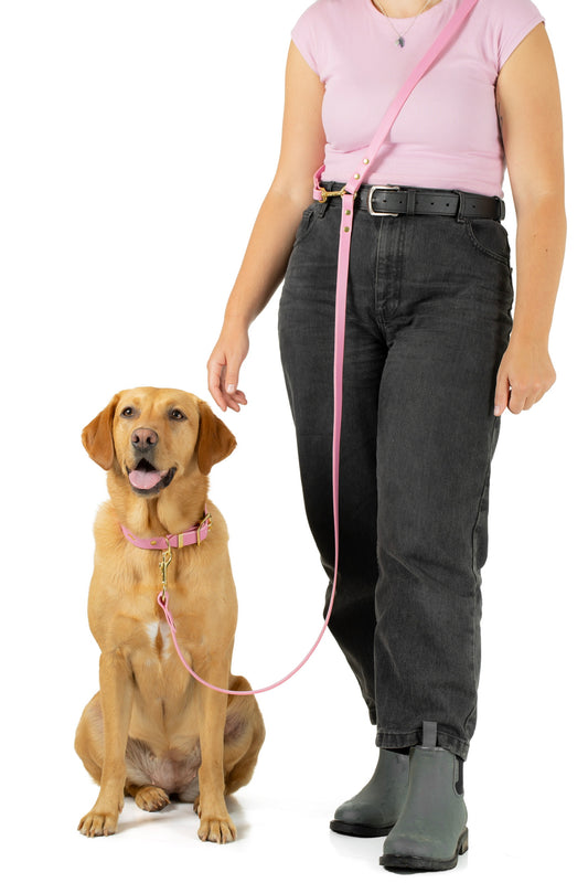 Adjustable luxury leather lead- Pink