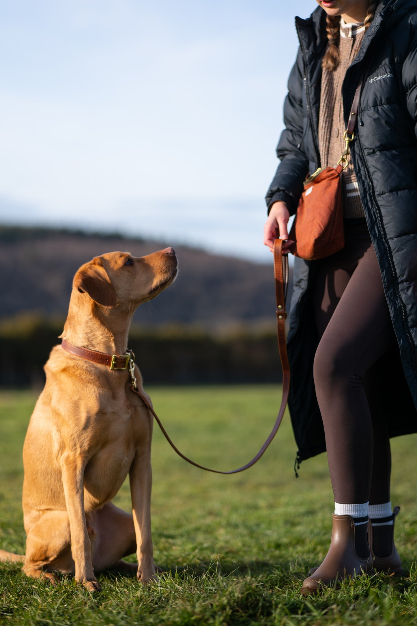 Padded Luxury leather collar- Chestnut